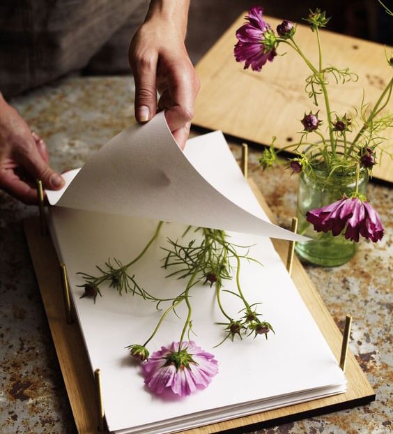 Drying flowers by pressing