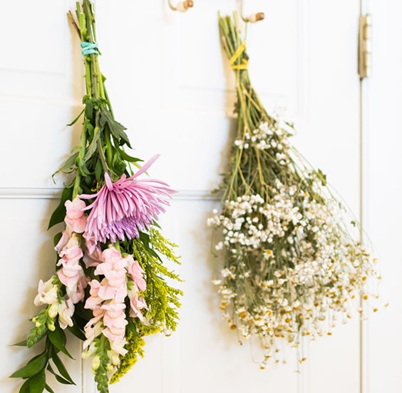 Air drying flowers