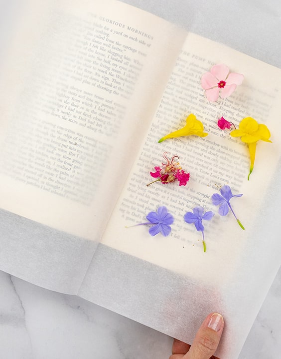 Pressing flowers in books